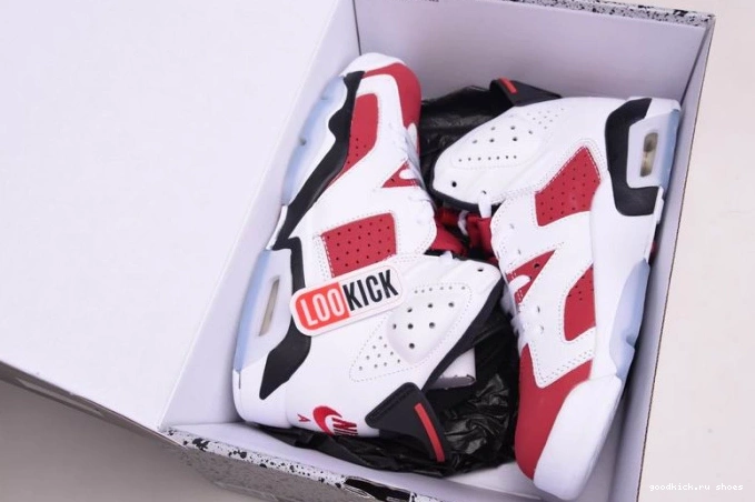 Rep RETRO CT8529-106 6 2021 AIR 'CARMINE' JORDAN 0713